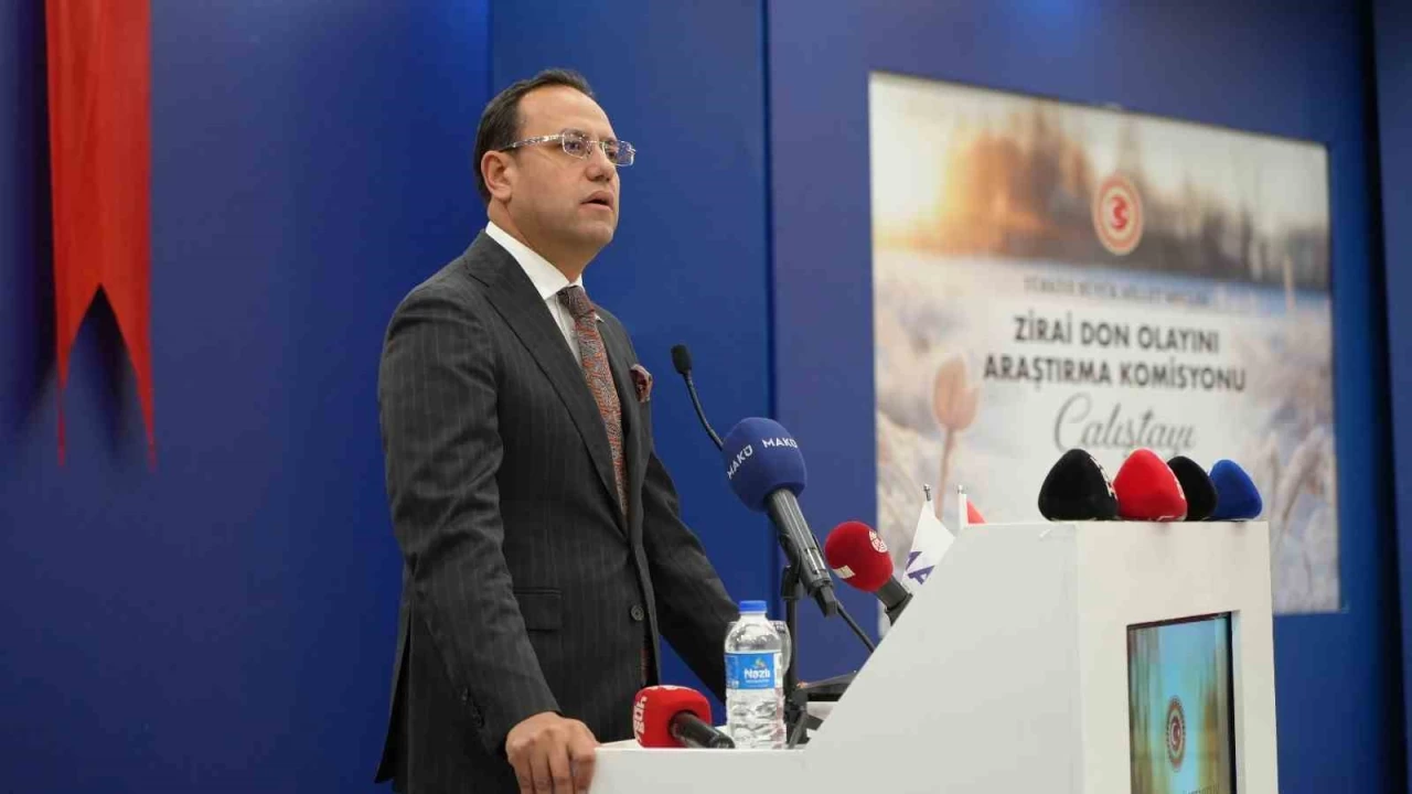 'Türkiye'de ortaya çıkan yangınların yüzde 83'ü insan kaynaklı'