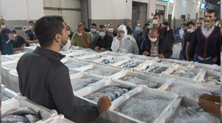 Türkiye'nin palamudu Samsun'dan