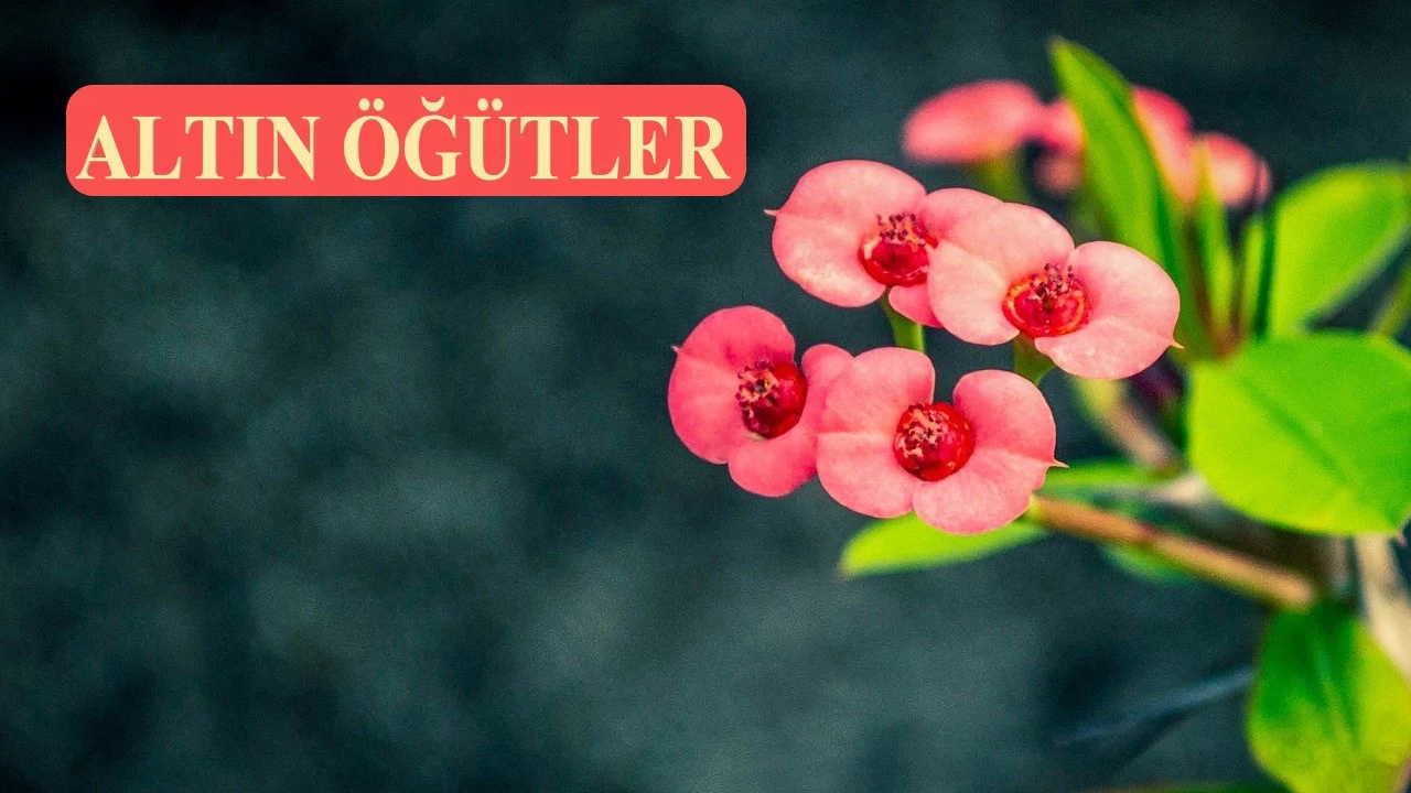 �Umulur ki o namaz seni mahzun eder�