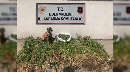 Uyuşturucu operasyonunda 3 tutuklama