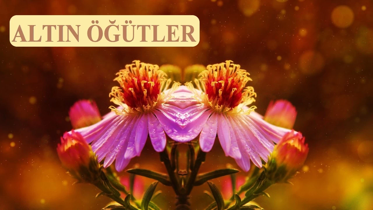 Uzun vadeli emelden uzak dur