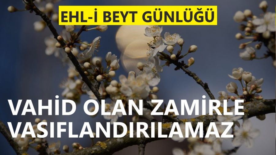 ‘Vahid olan zamirle vasıflandırılamaz’