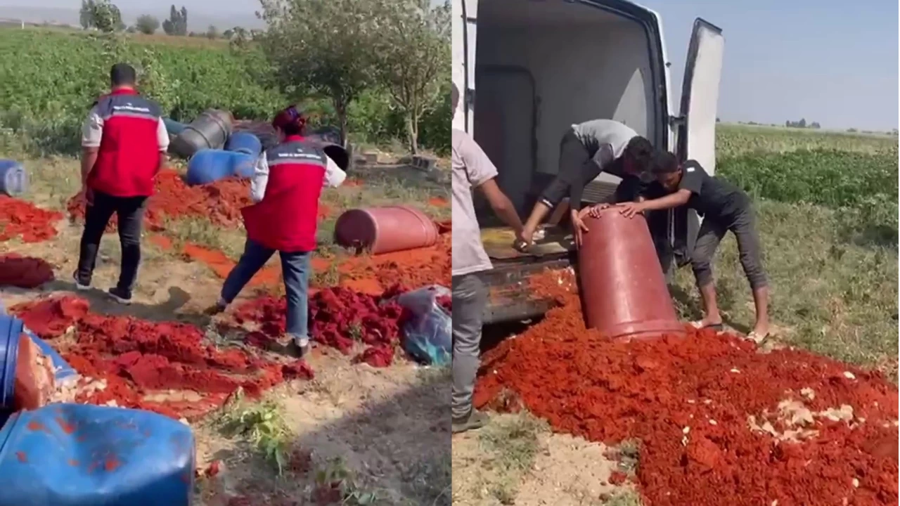 Vatanda�a yedireceklerdi