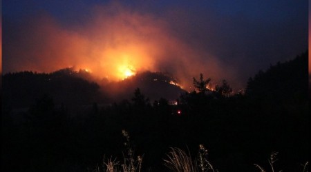 Yangnda onlarca ar kovan kl oldu