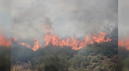 Yangınların ardından itfaiye personellerinin izinleri kaldırıldı