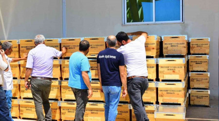 Yangınzede üreticilere arı kovanı desteği