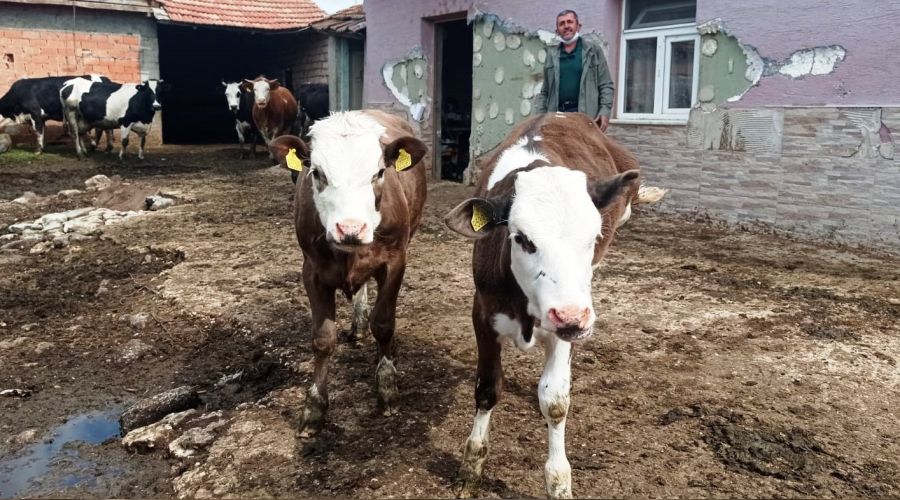 Yem fiyatlarndaki art st reticilerini endielendiriyor