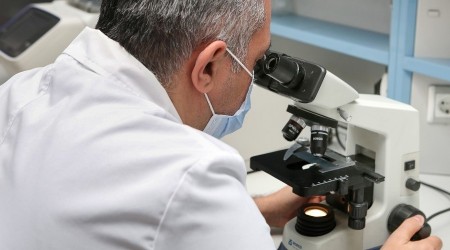 Yeni bakteri cinsi ve türü keşfedildi