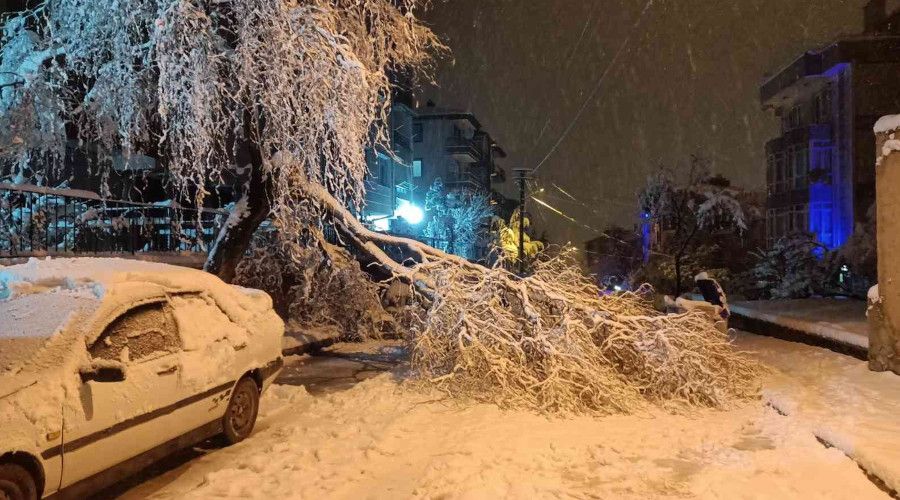 Yoğun kar yağışına dayanamayan ağaç dalları kırılarak anayolu kapattı