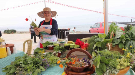 Yöresel Ot Yemekleri Festivali