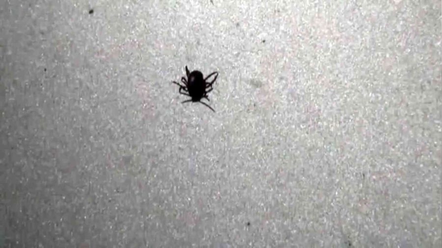 Yozgat'ta keneden 6 ki�i �ld�