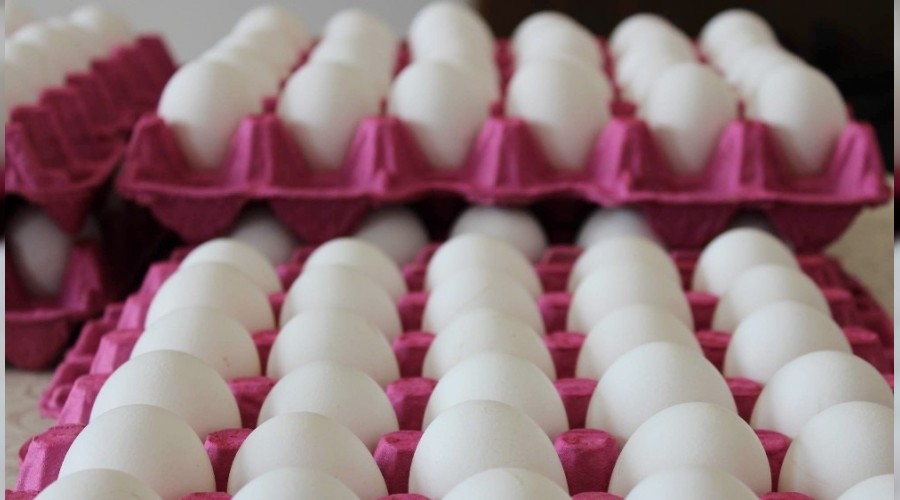 Yumurta fiyatlarndaki ykseli devam ediyor