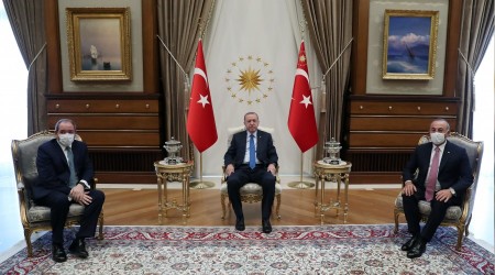 Yunanistan'a bir zeytin dalı daha