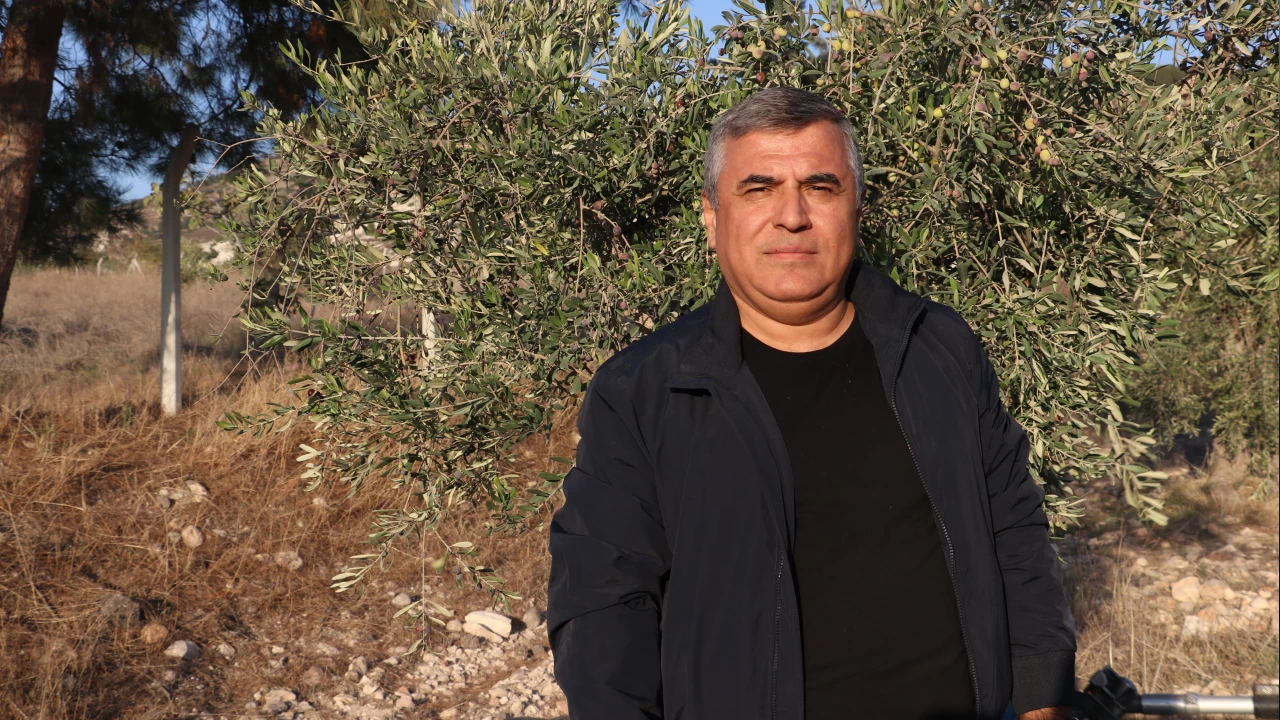 Zeytin �reticisi Kilis'ten zeytinya��nda sahtecilik uyar�s�