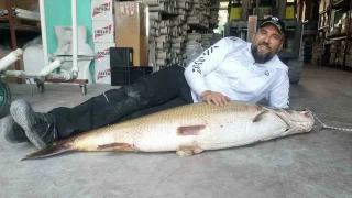 1 buuk metrelik balk oltaya takld