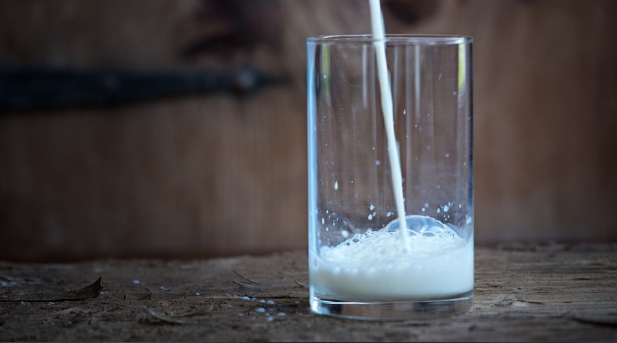 12 aylık dönemde süt üretimi azaldı