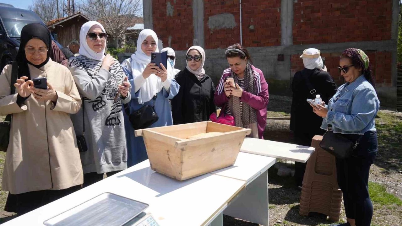 12 bin yıllık siyez, Orta Doğu ülkelerinin sofrasını süsleyecek