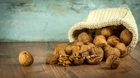 20 bin ton ceviz rekoltesi bekleniyor