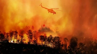 2025'te de ormanlar�m�z� koruyamad�k