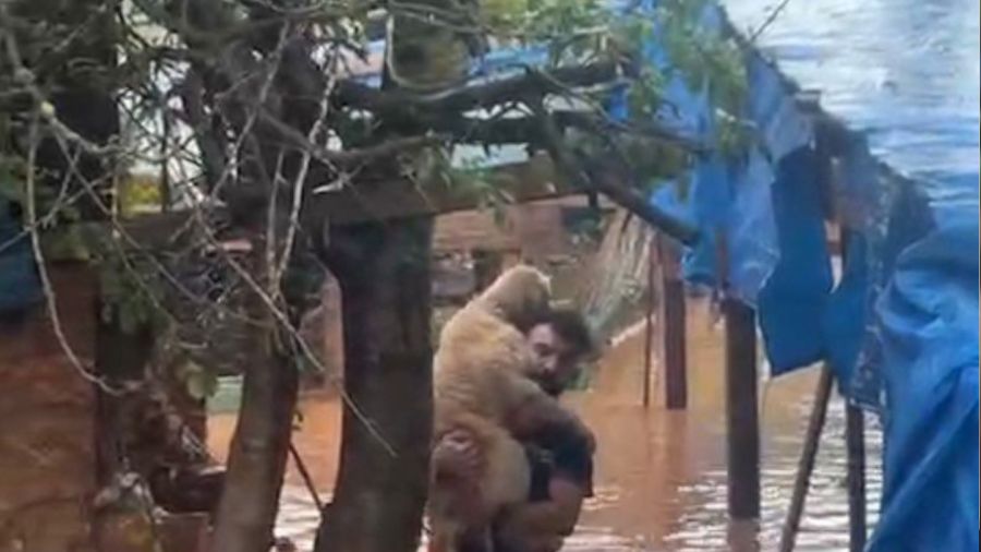 56 k�pe�in telef oldu�u o bar�nakta mahsur kalan k�pekler b�yle kurtar�ld�