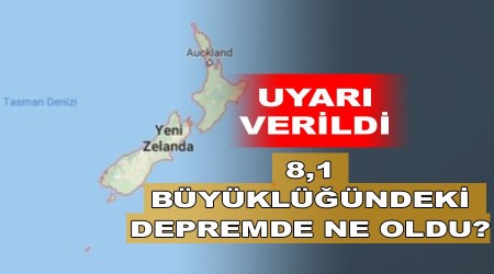 8,1 büyüklüğündeki depremde ne oldu?
