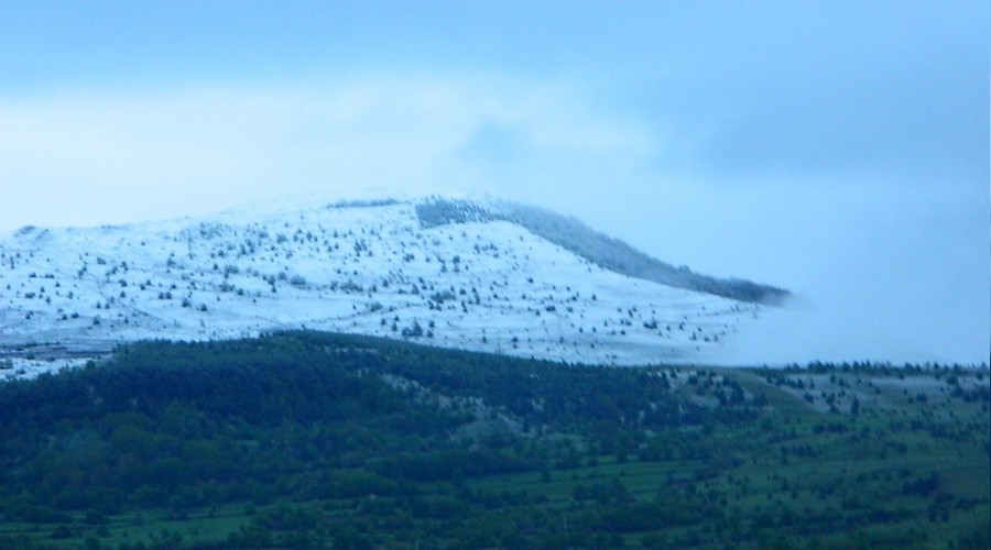 Adana'da kar s�rprizi