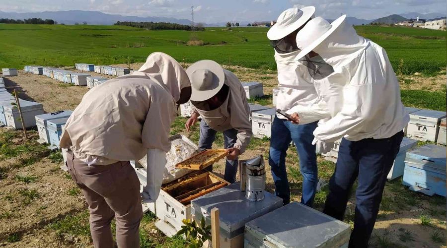 Adana'daki ar� �l�mleri ara�t�r�l�yor