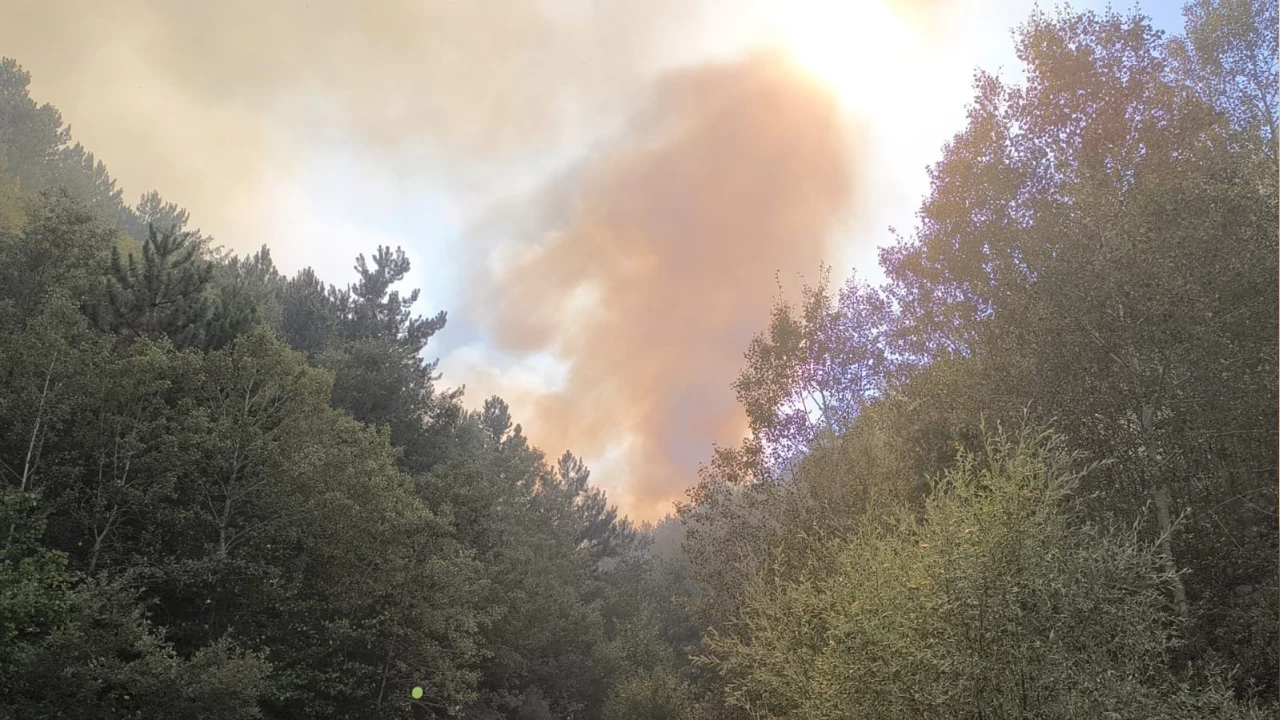 Afyonkarahisar'daki orman yangnyla ilgili 1 kii gzaltna alnd