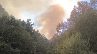 Afyonkarahisar'daki orman yangnyla ilgili 1 kii gzaltna alnd
