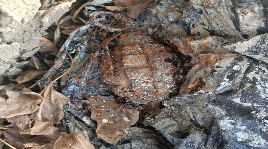 Aa kovuuna el bombas saklamlar