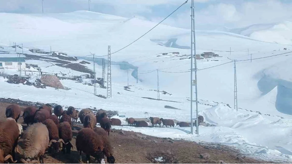 Ağrı'da Nisan ayında kar yağışı yolları kapattı
