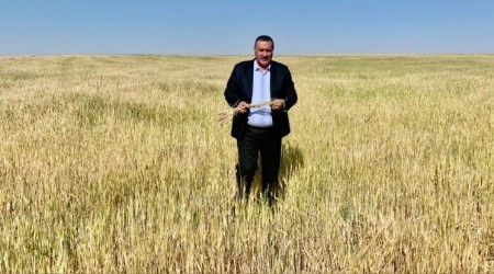Ak Parti'li yıllarda 2 milyon hektar buğday alanı kayboldu