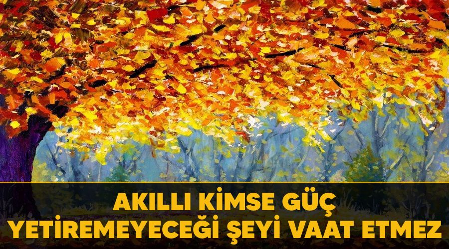 Akıllı kimse güç yetiremeyeceği şeyi vaat etmez