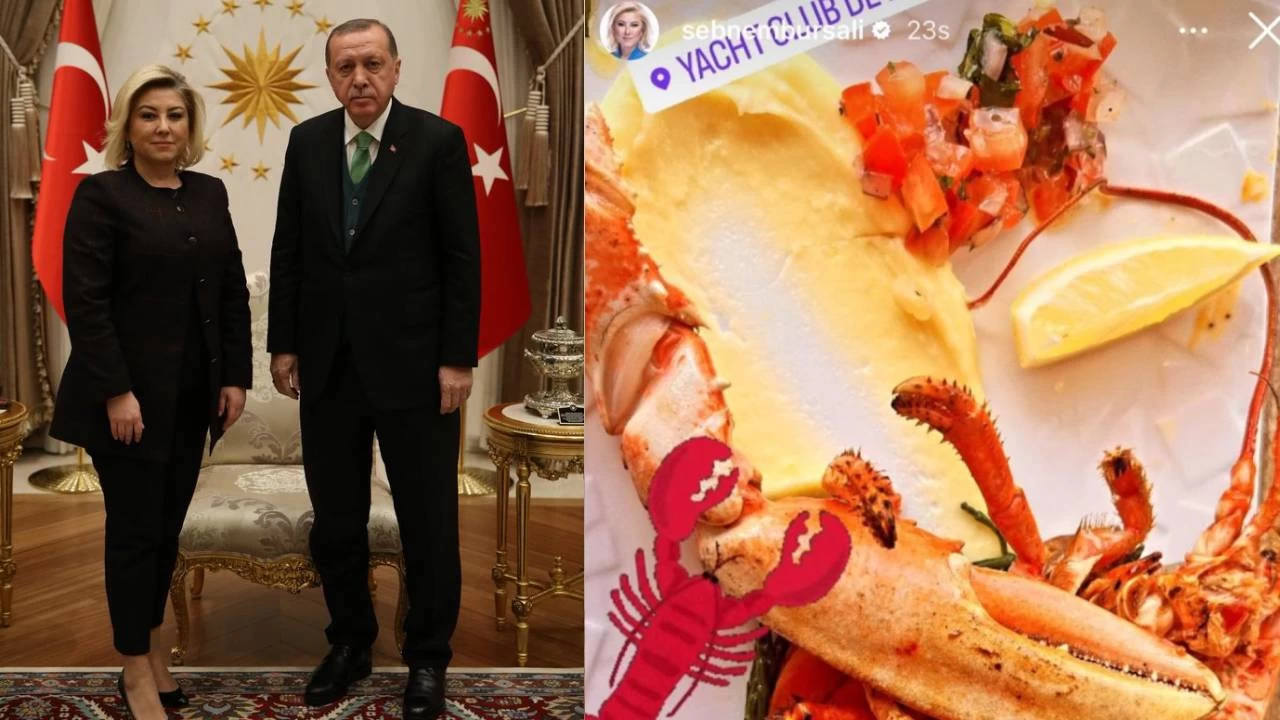 AKP'li Bursalı'dan 'ıstakoz' savunması: Cumhurbaşkanımızın hedef alınmasından dolayı üzüntüm sonsuz