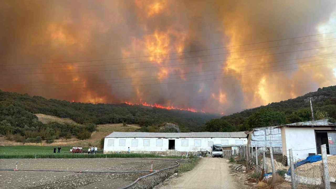 Alevler �iftlikleri tehdit etti, hayvanlar kurtar�ld�