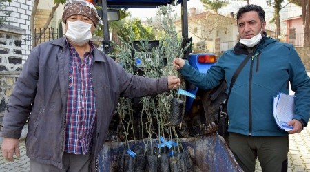 Aliaa Belediyesinden tarmsal kalknmaya destek