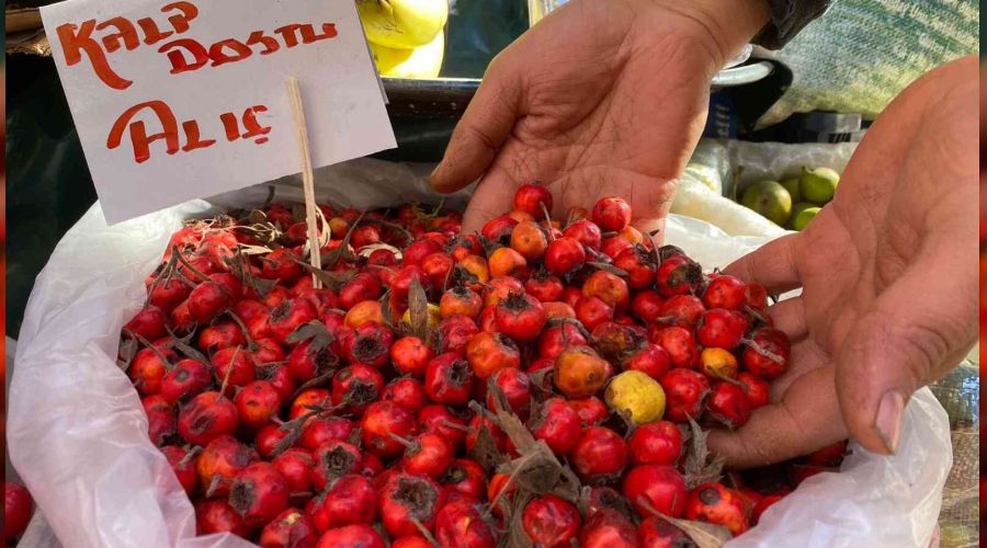 Alıç meyvesi tezgahlarda yerini aldı