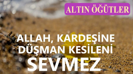 Allah, kardeine dman kesileni sevmez