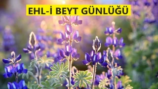 Ammar’ın şehadetine üzülmeyen nasipsizler