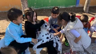 Anaokulu öğrencilerine veteriner uygulamaları dersi