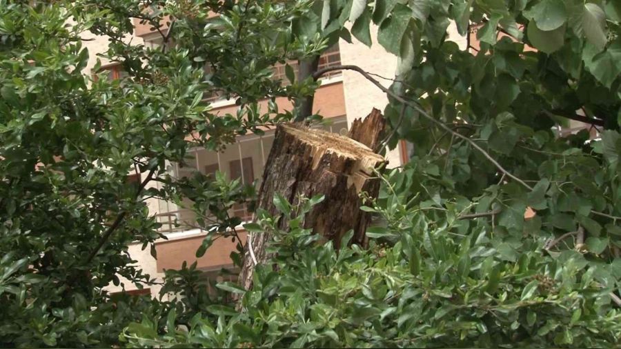 Ankara'da fırtınanın izleri sabah ortaya çıktı