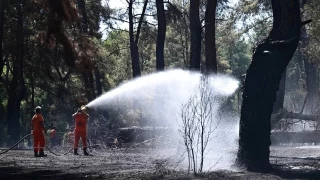 Antalya'da kan orman yangnlarndan biri kontrol altna alnd