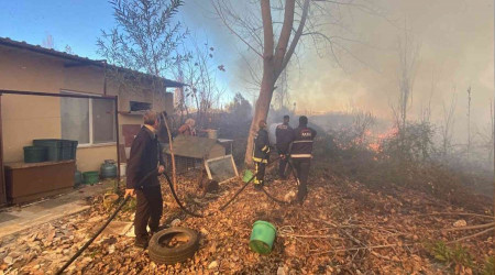 Antalya'da evleri tehdit eden sazlk yangn