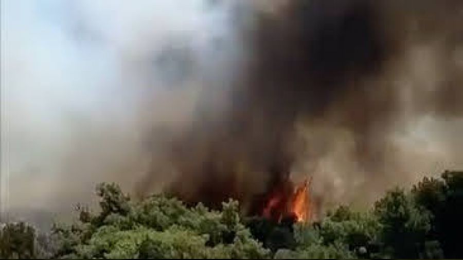 Antalya'da orman yangn