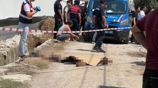 Antalya'da serada cinayet: 2 l