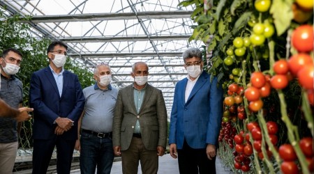 Antalya'nın domatesi Van'dan!