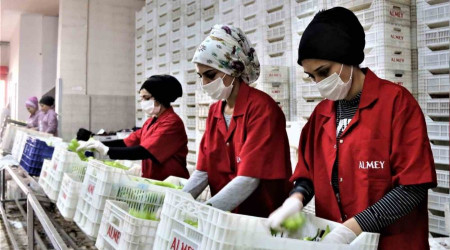 Antalya'nn ihracat Nisan'da azald