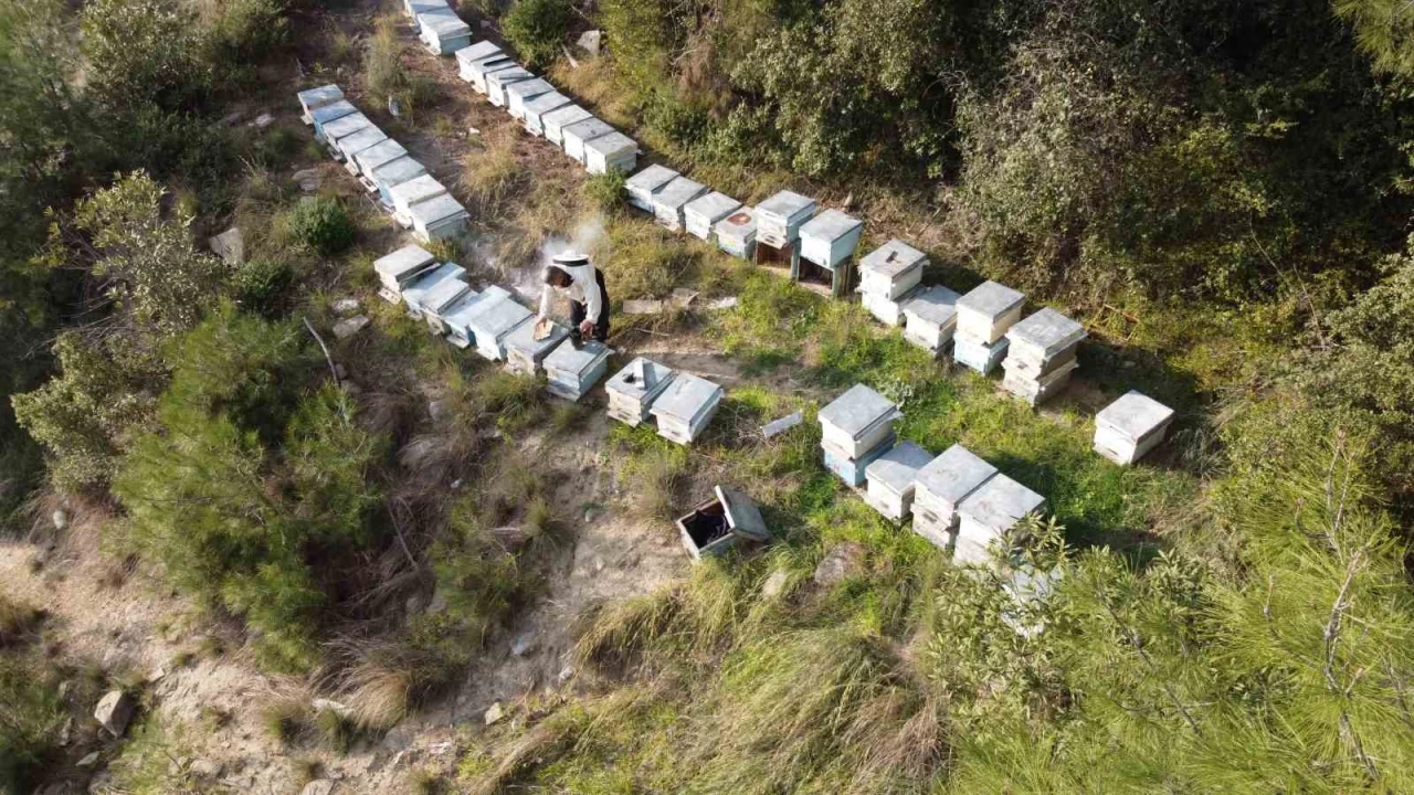 Ar�lar k�� uykusuna yatamad�