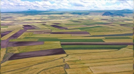 Arsa satışları da arttı
