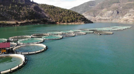 Artvin'de hedef 50 bin somon ihracatı